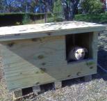 Náhled článku - Stavíme boudu pro psa – zateplení